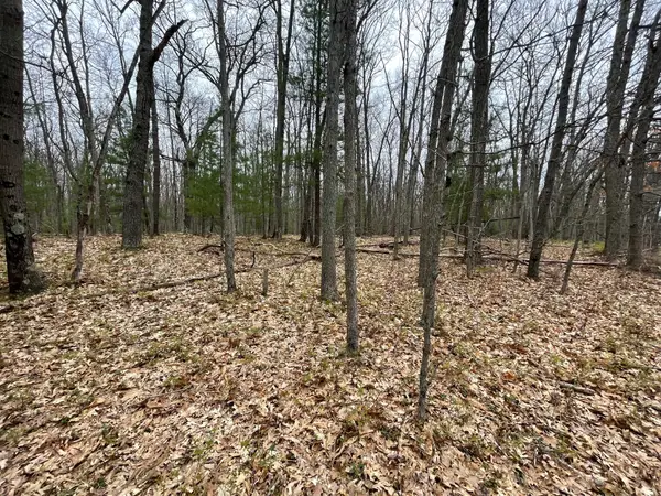 V/L Coates Highway, Brethren, MI 49619