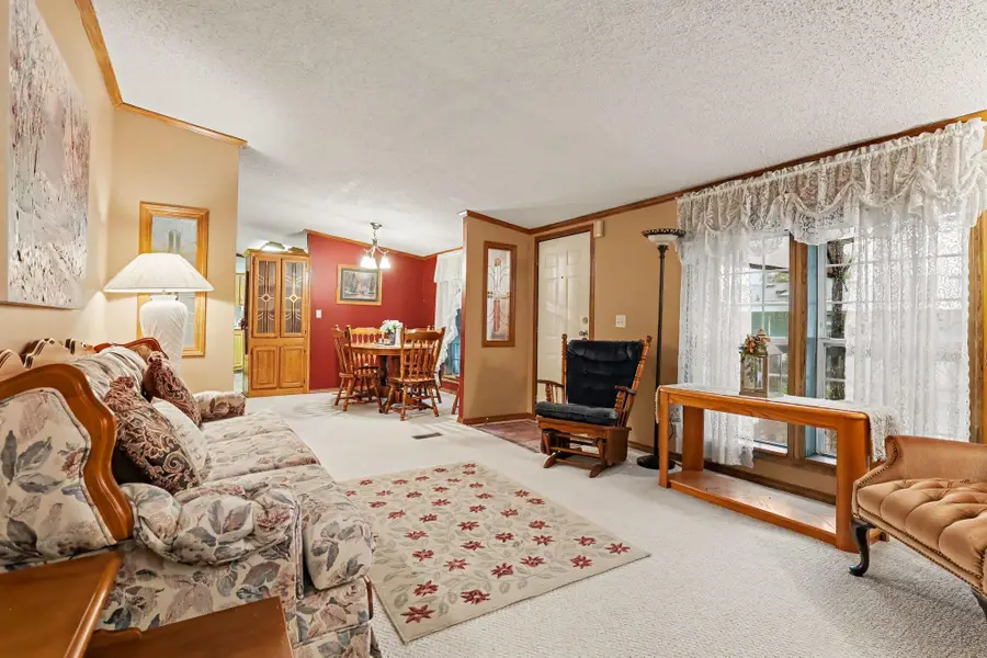 15877 Cottonwood Avenue, Cedar Springs, MI 49319 - #2