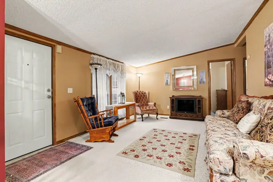 15877 Cottonwood Avenue, Cedar Springs, MI 49319 - #3