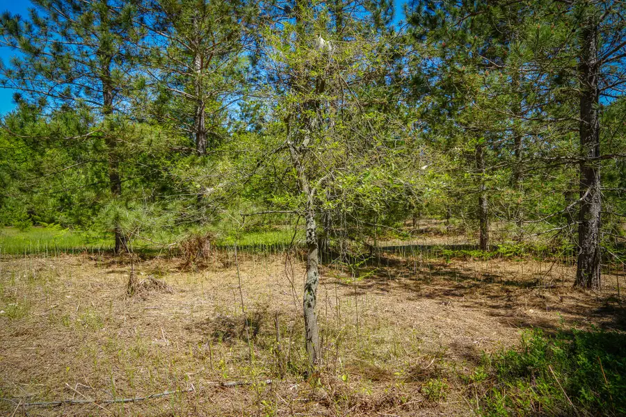 Parcel 2 Makinen Road, Kaleva, MI 49645 - #3