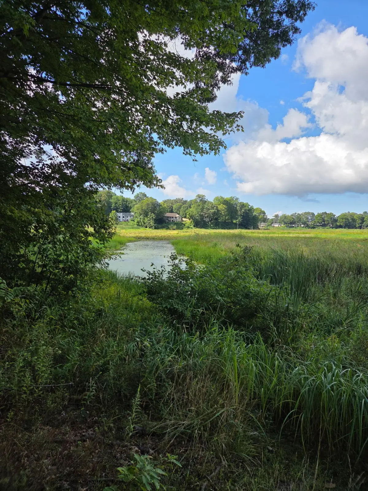 6695 S Brooks Road, Fruitport, MI 49415 - #1