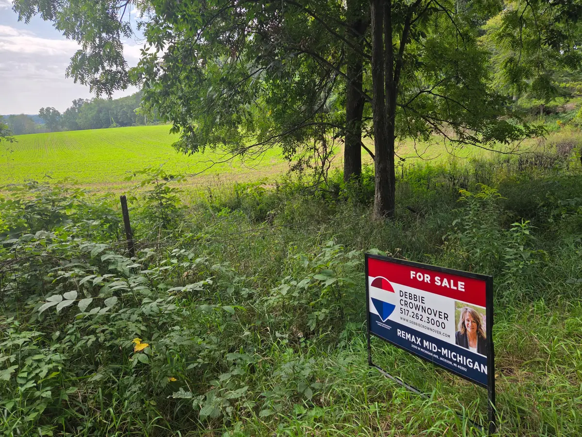 0 Crispell Road, Clarklake, MI 49234 - #1