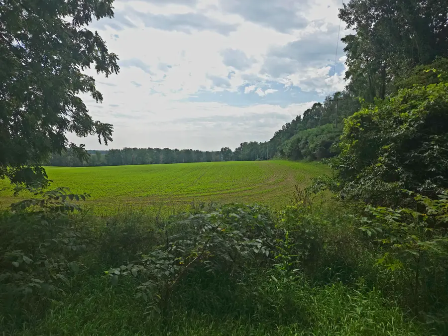 0 Crispell Road, Clarklake, MI 49234 - #3