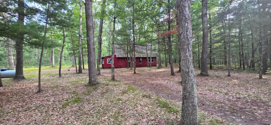 9676 N Campbell Road, Free Soil, MI 49411 - #2