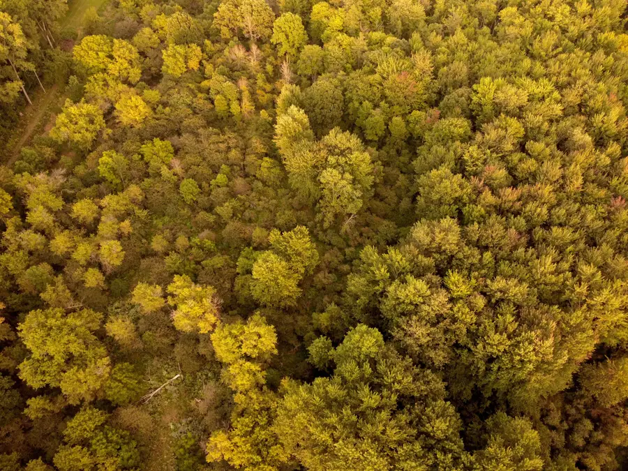 V/L Onondaga, Holt, MI 48842 - #3