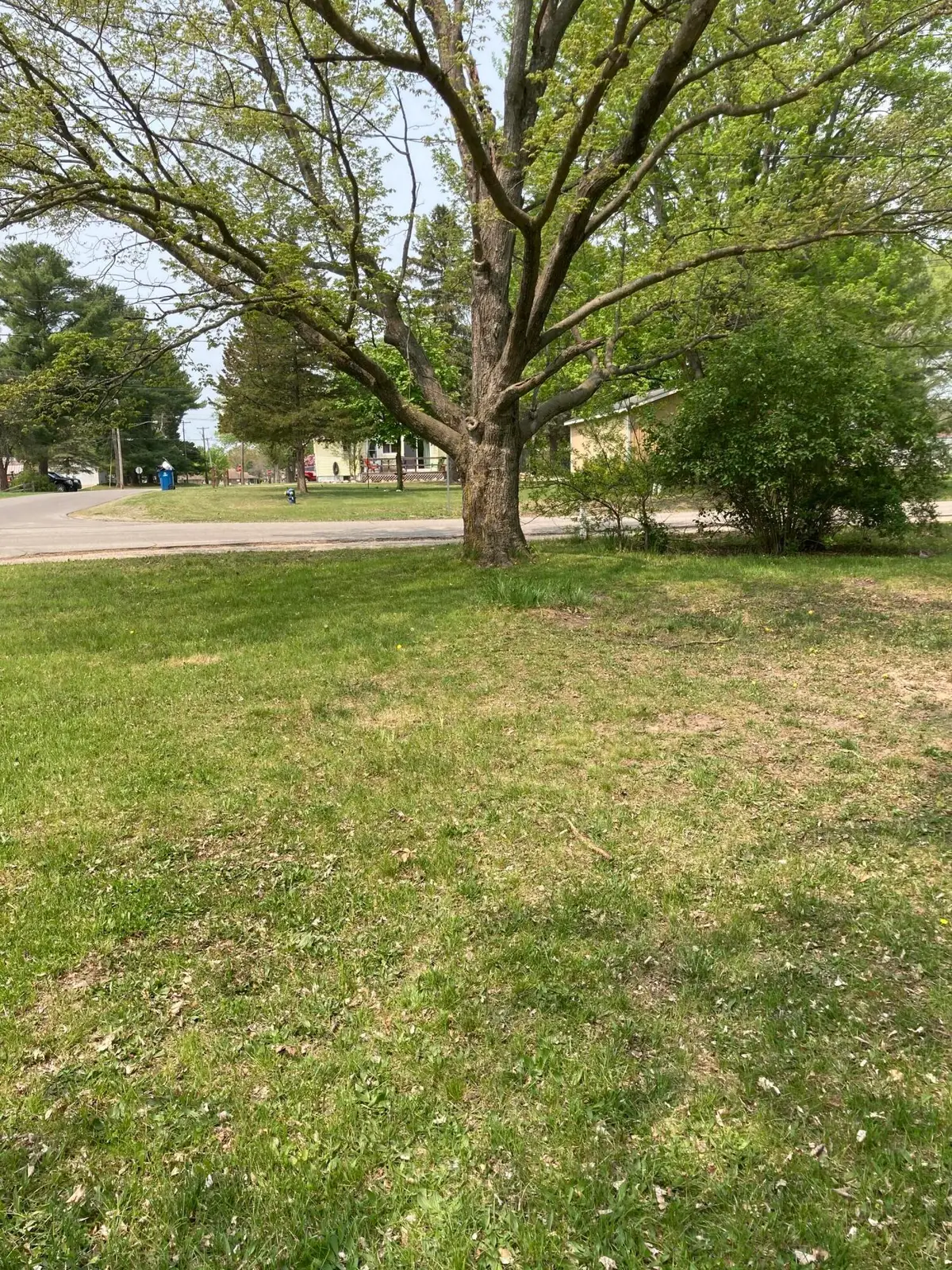 316 W Washington Street, Evart, MI 49631 - #1