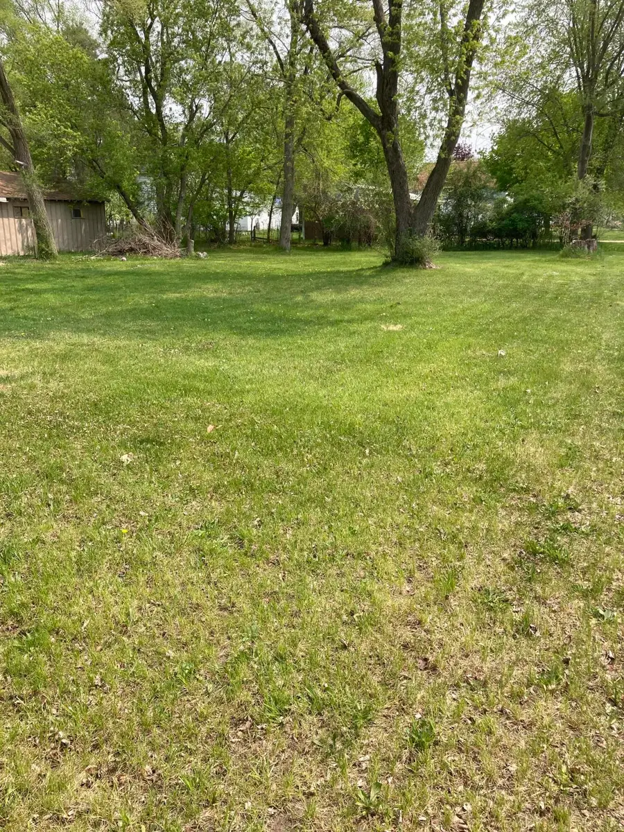 316 W Washington Street, Evart, MI 49631 - #2