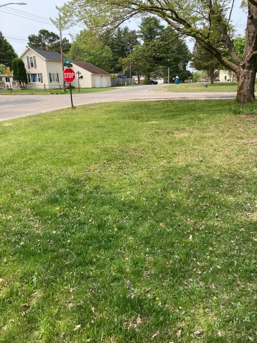 316 W Washington Street, Evart, MI 49631 - #3