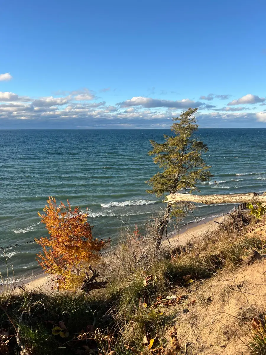 4650 W Fox Farm Road, Manistee, MI 49660 - #2