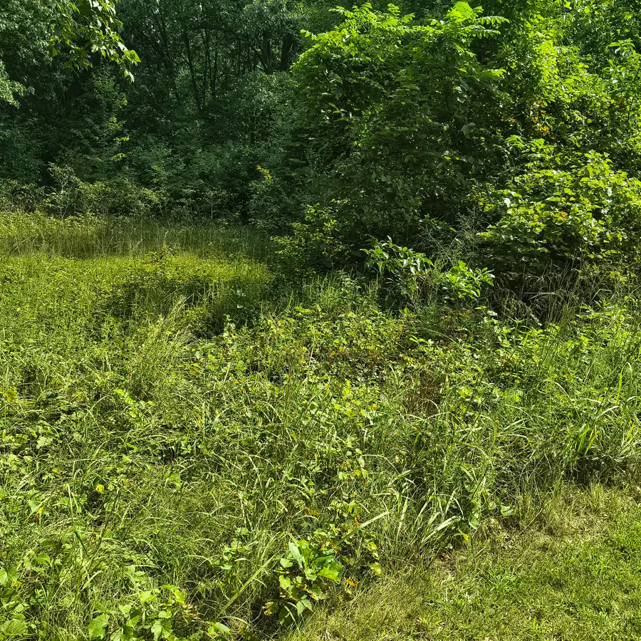 Elanor - South Of House Street, Niles, MI 49120 - #2