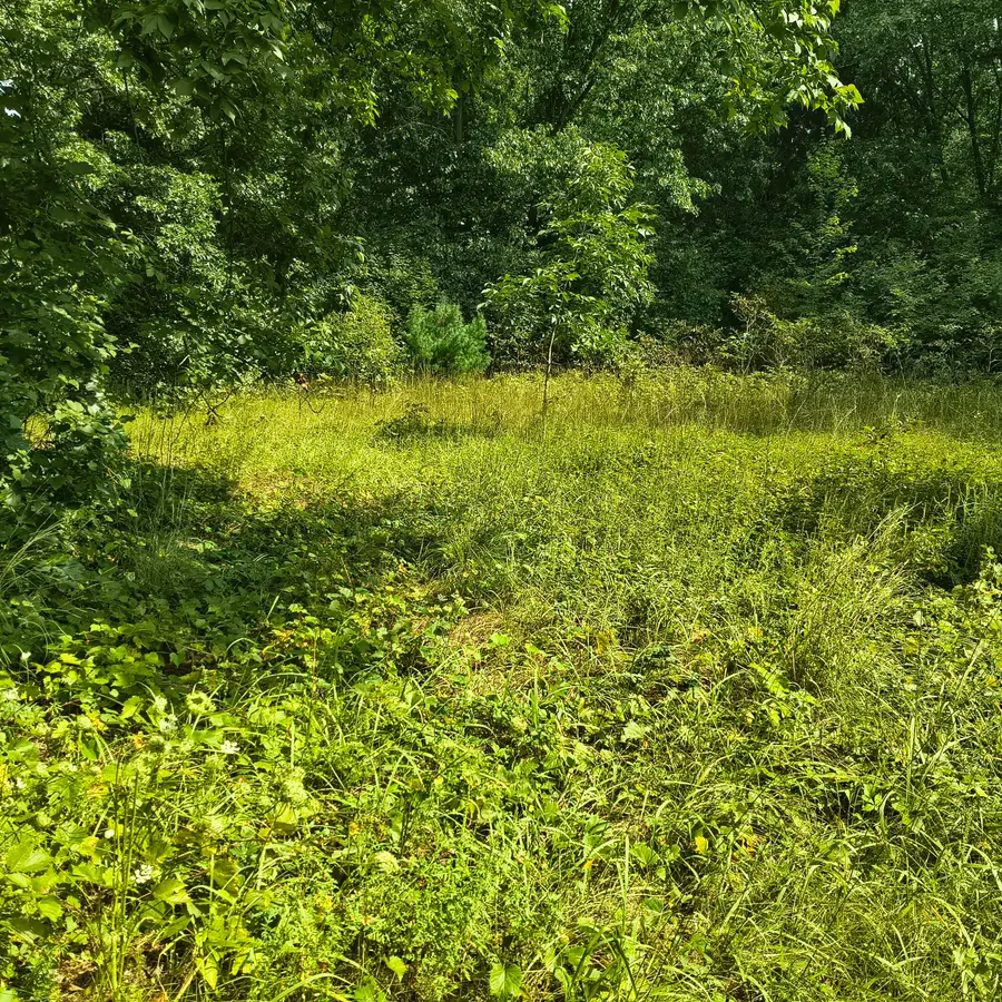 Elanor - South Of House Street, Niles, MI 49120 - #3