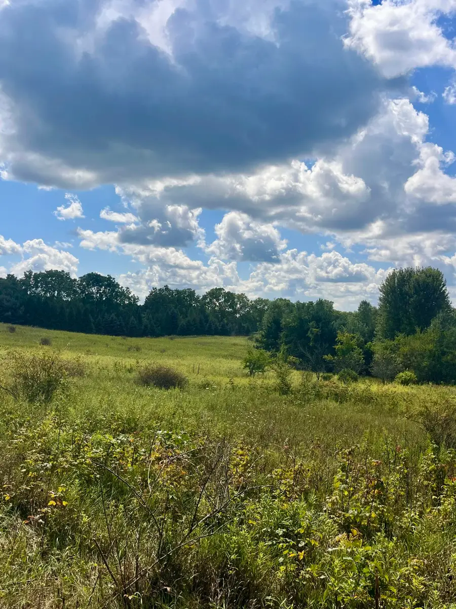 2260 N Gibbs Road, Albion, MI 49224 - #3
