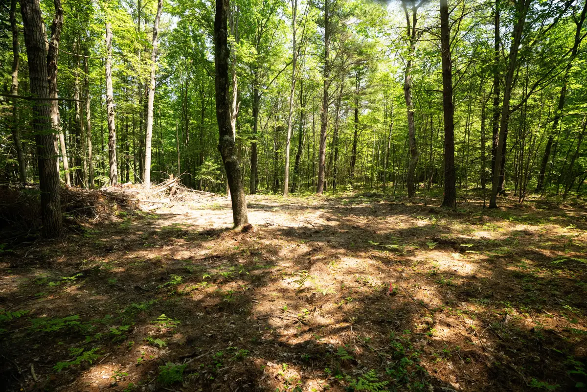 V/L 11.4A W Jefferson Road, Hart, MI 49420 - #1