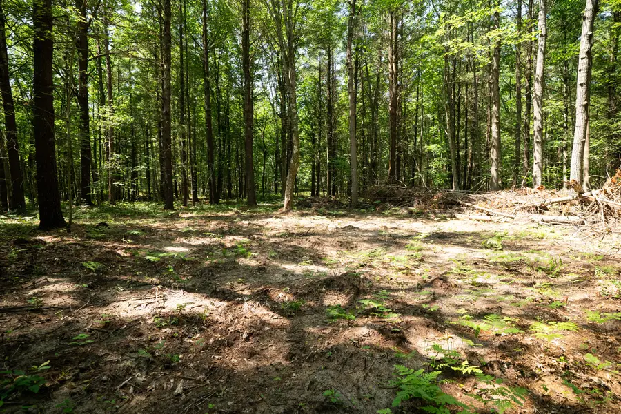 V/L 11.4A W Jefferson Road, Hart, MI 49420 - #2