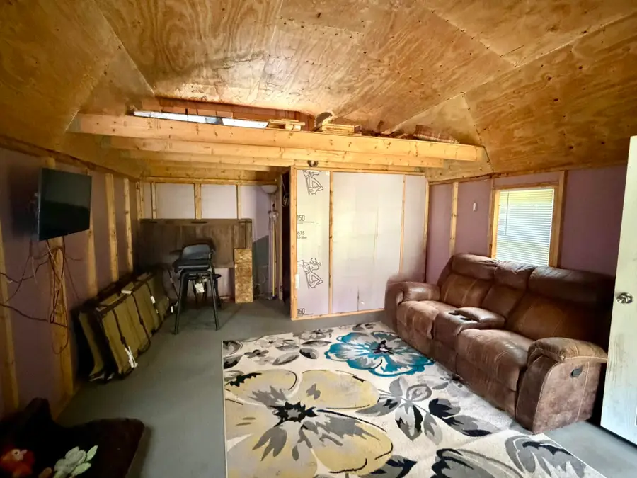 Peacock Road, Wellston, MI 49689 - #3