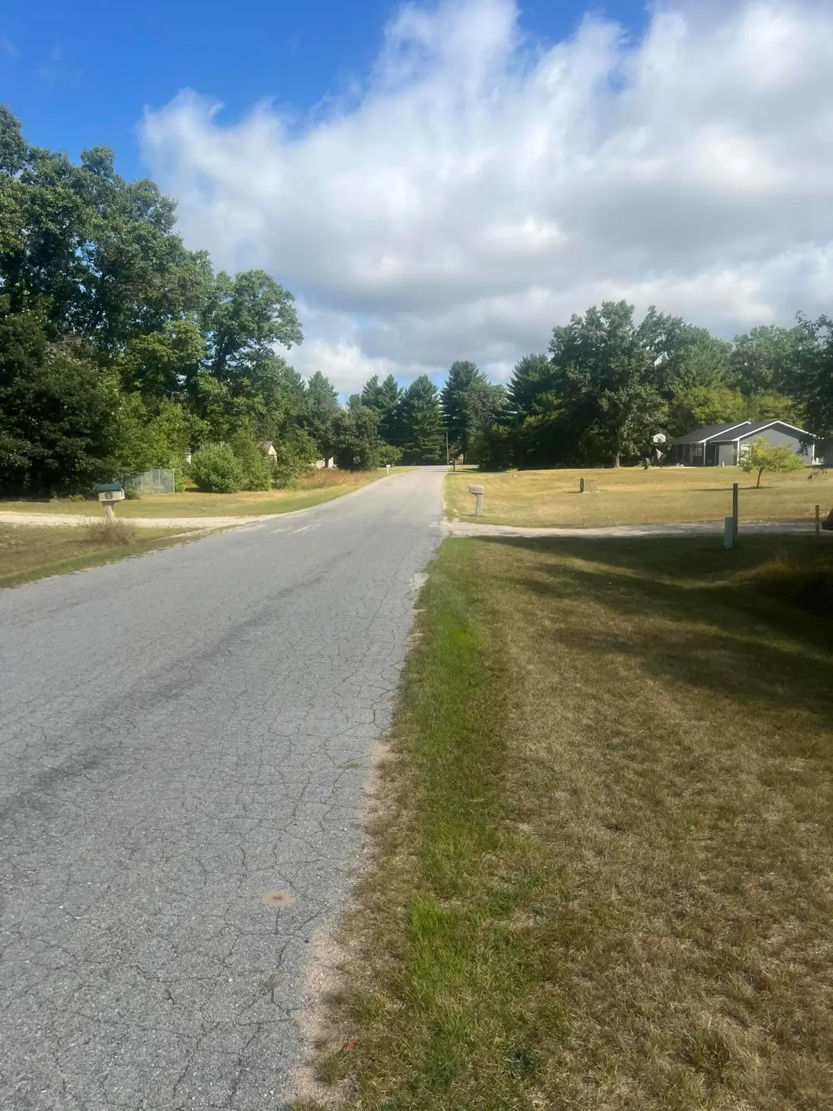 Evergreen, Brethren, MI 49619 - #1
