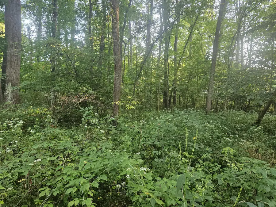 24780 60 1/2 Street, Bangor, MI 49013 - #3
