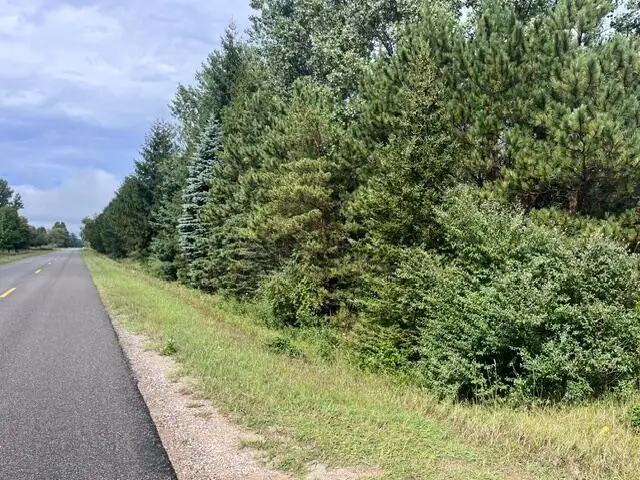 14,5 Acres Erdman Road, Bear Lake, MI 49614 - #2