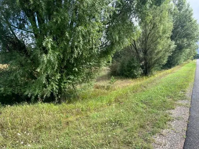 14,5 Acres Erdman Road, Bear Lake, MI 49614 - #3