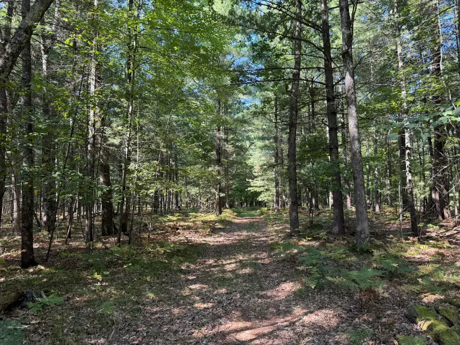9372 W 7 Mile Road, Irons, MI 49644 - #3