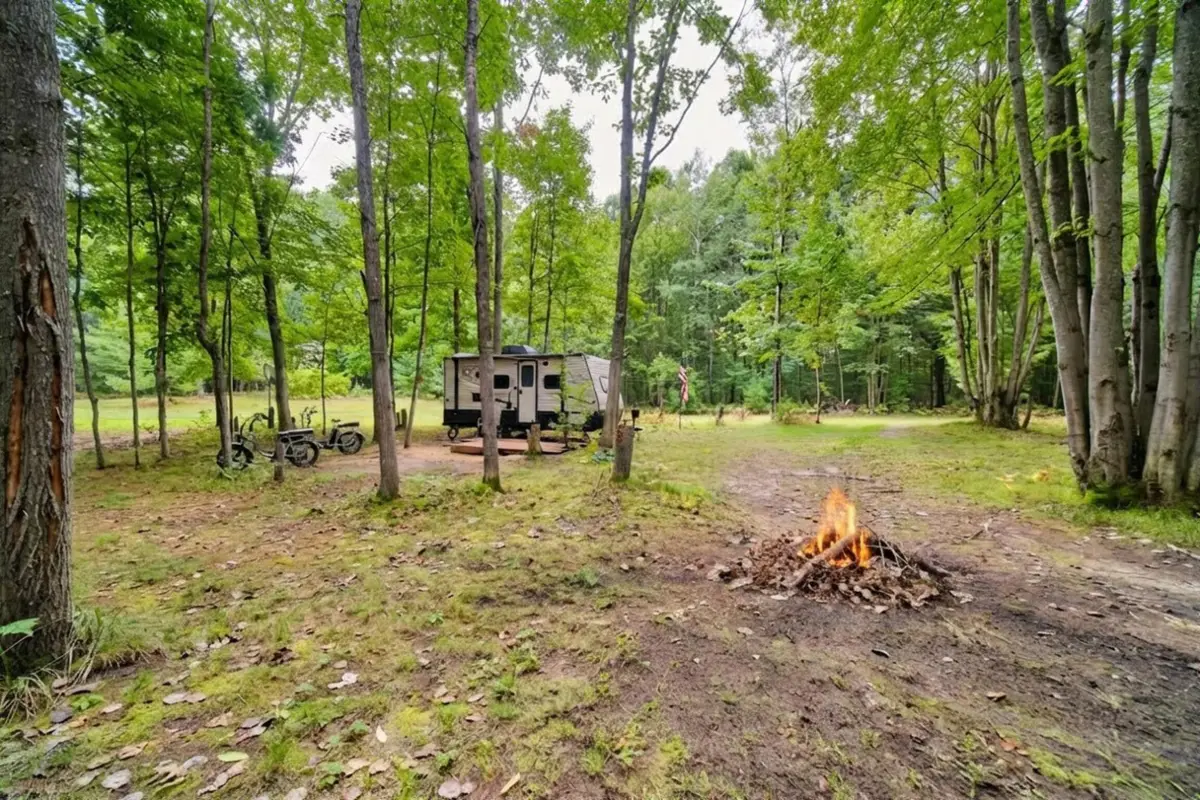 8089 Hunter's Ridge Trail, Copemish, MI 49625 - #1