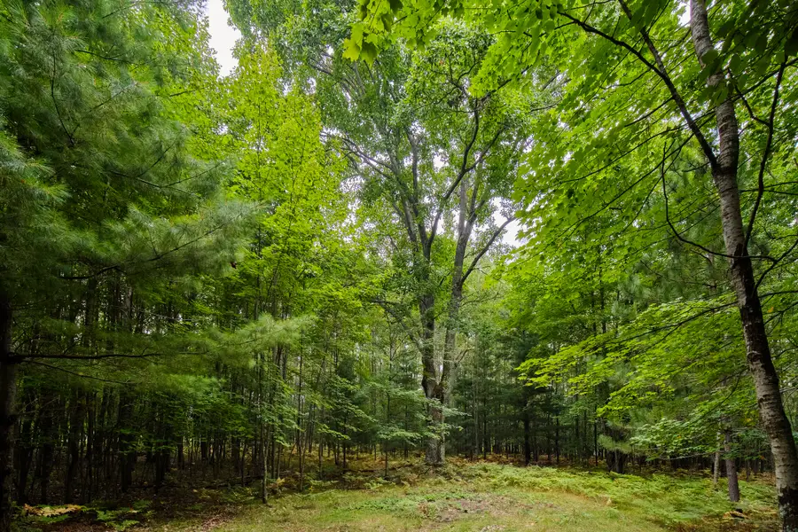 8089 Hunter's Ridge Trail, Copemish, MI 49625 - #3