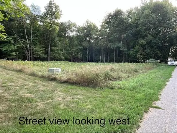 8975 Edgewater Drive, Stanwood, MI 49346
