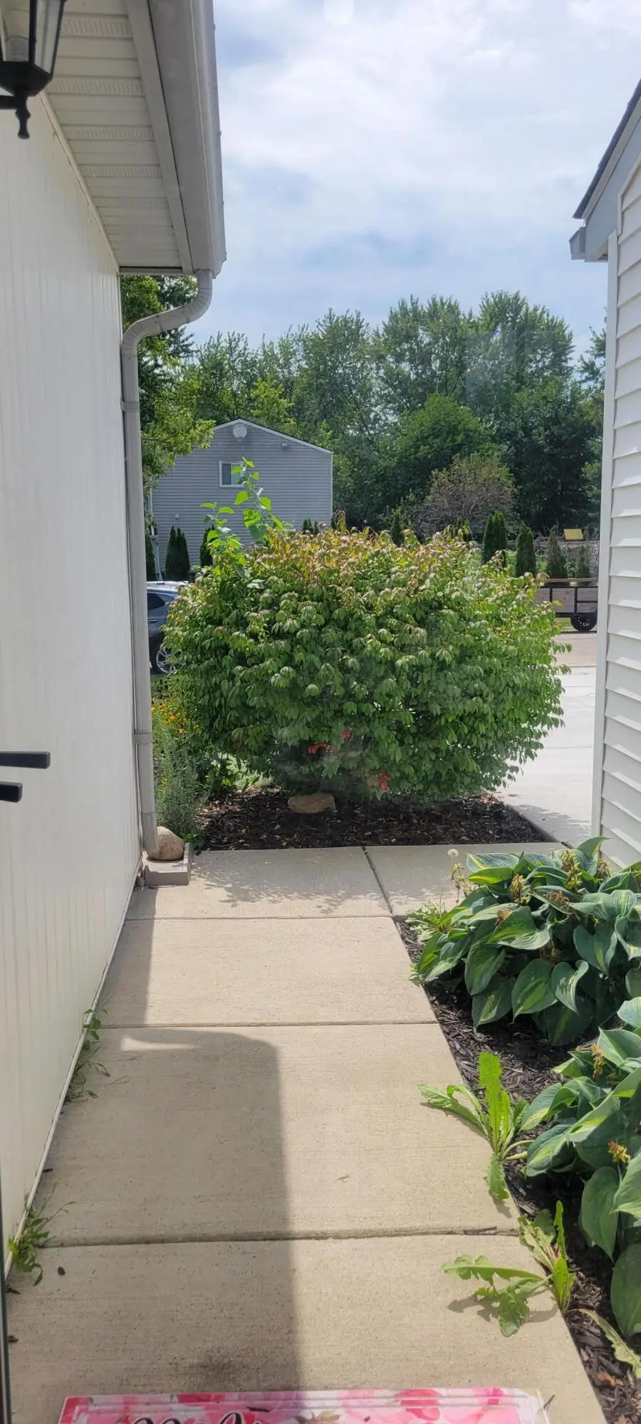 5465 New Meadow Drive, Ypsilanti, MI 48197 - #2