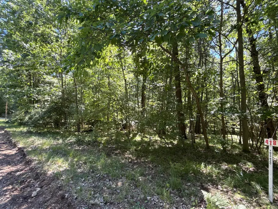 0 Vacant Land Bundle, Stanwood, MI 49346 - #2