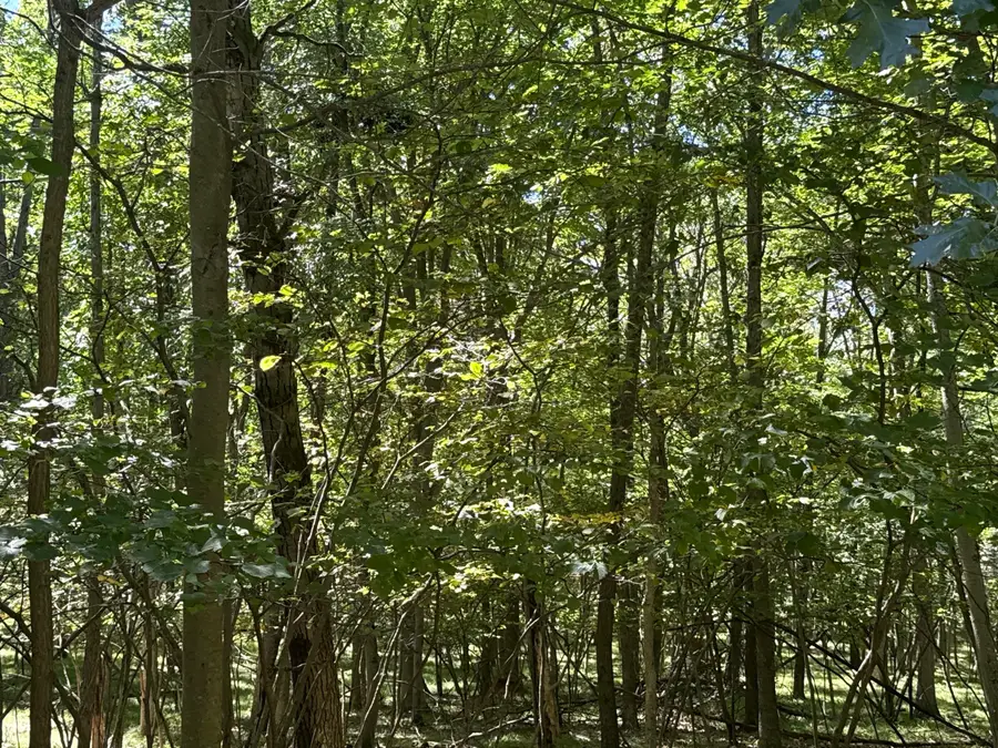 0 Vacant Land Bundle, Stanwood, MI 49346 - #3
