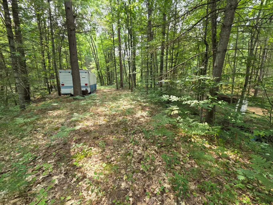 4232 E 3 1/2 Mile Road, Luther, MI 49656 - #3