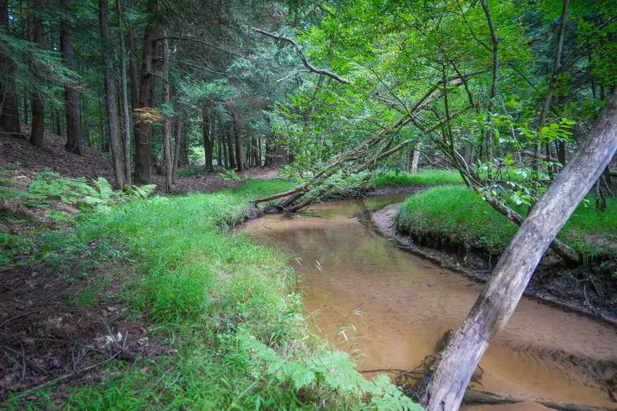 V/L S 142nd Avenue, Rothbury, MI 49452 - #3