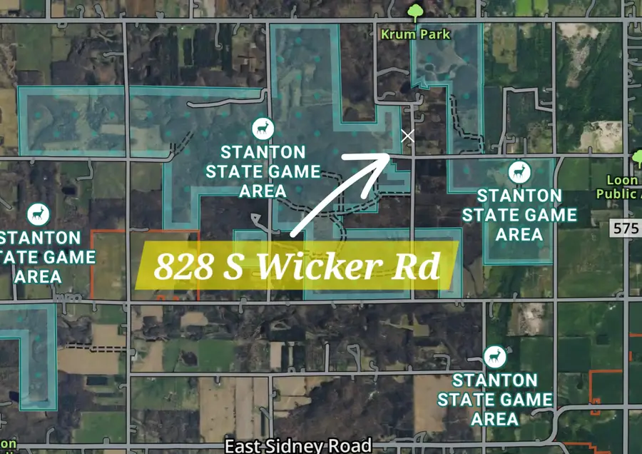 828 S Wicker Road Se, Stanton, MI 48888 - #3