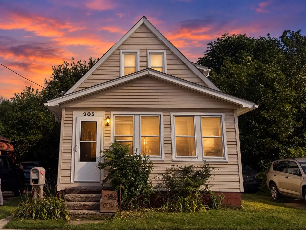 205 Haltiner Street, River Rouge, MI 48218 - #1