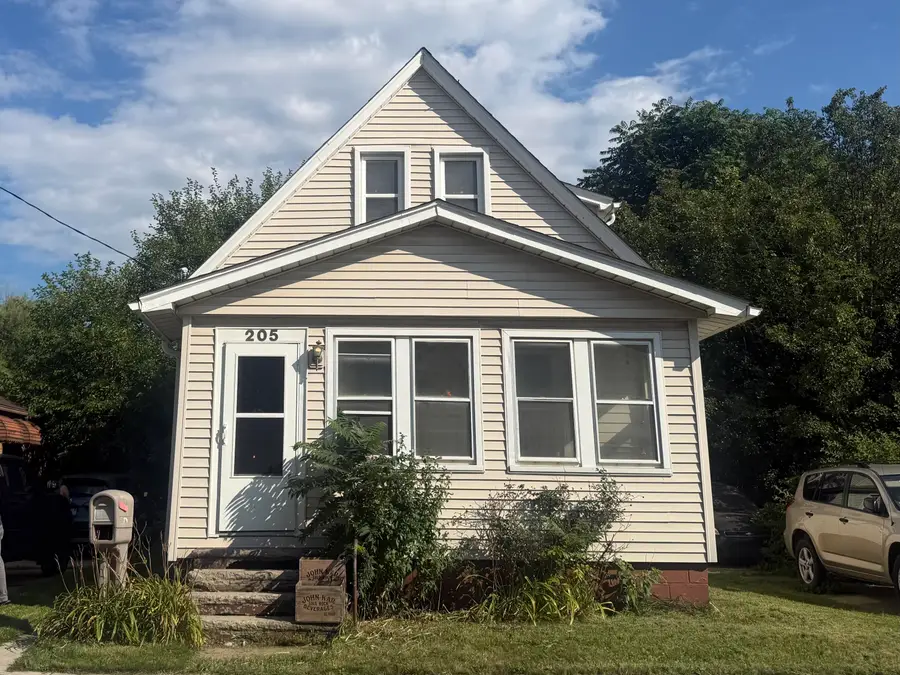 205 Haltiner Street, River Rouge, MI 48218 - #2