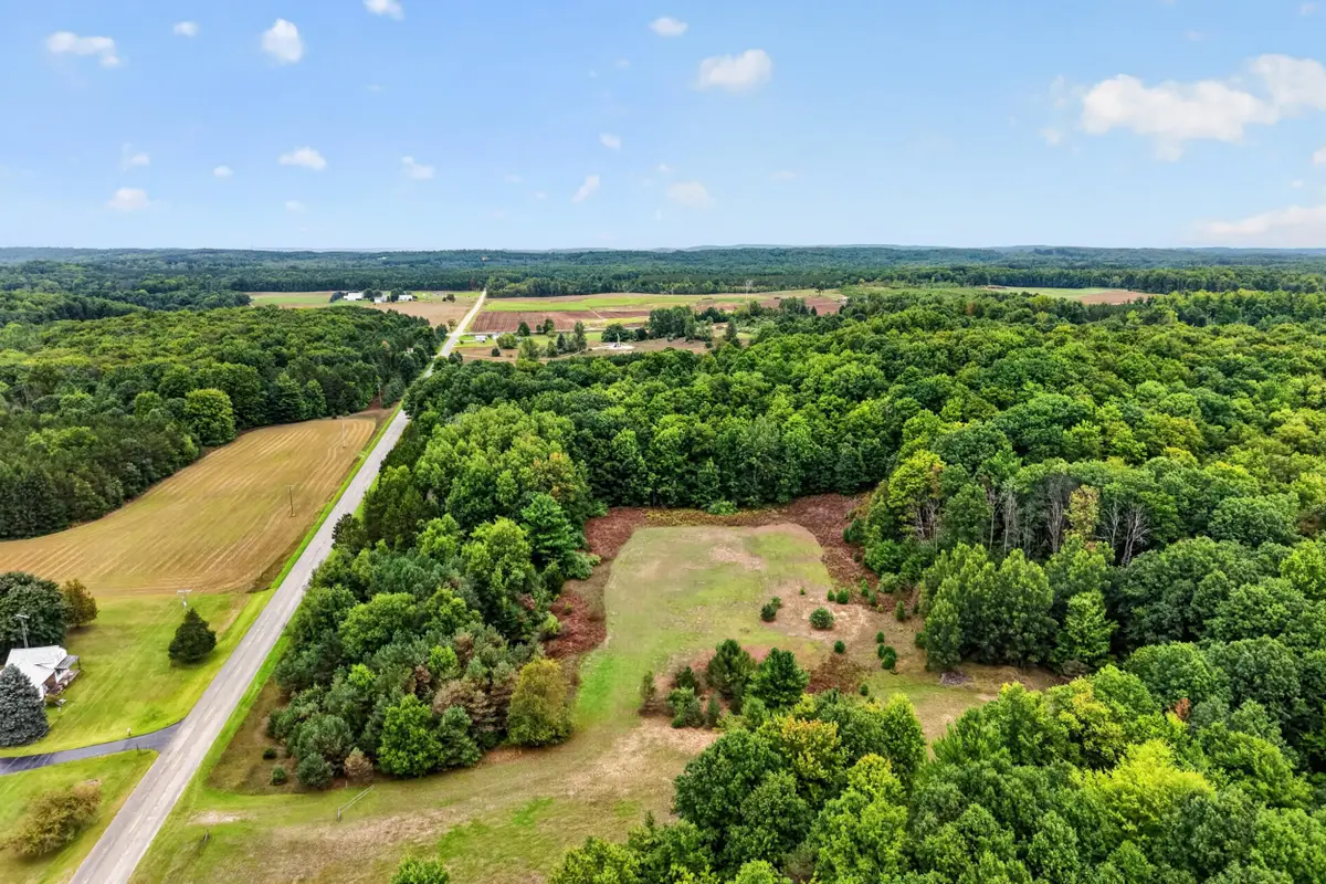 Adamson Lake Road, Kaleva, MI 49645 - #1