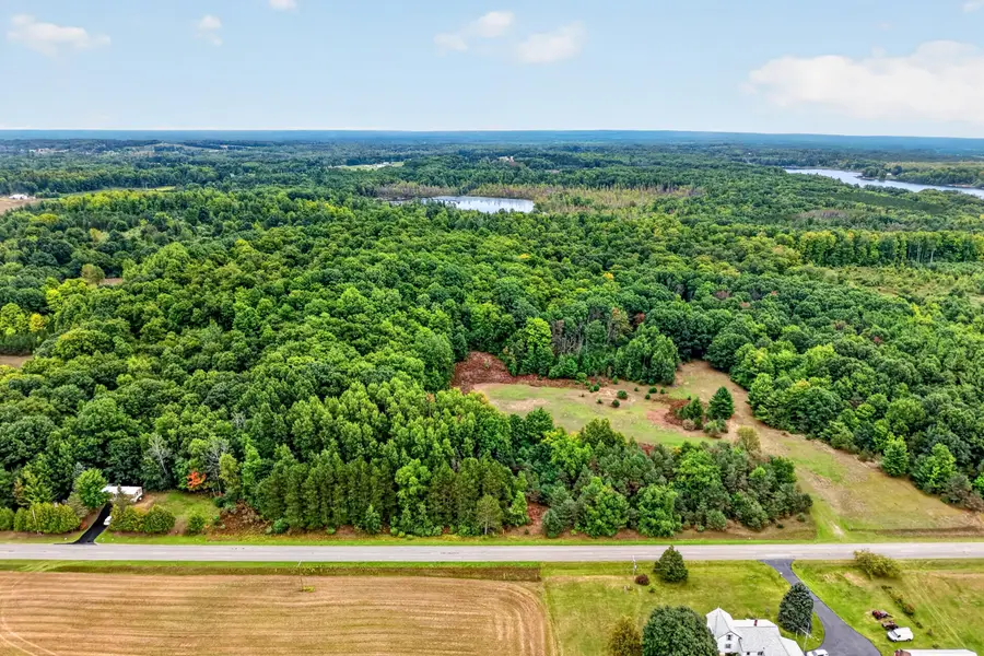 Adamson Lake Road, Kaleva, MI 49645 - #2
