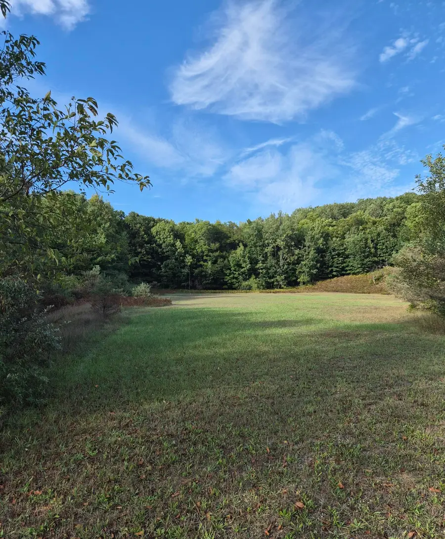 Adamson Lake Road, Kaleva, MI 49645 - #3