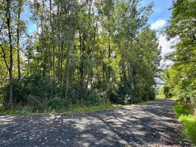 Heather Ridge Road, Marshall, MI 49068 - #2
