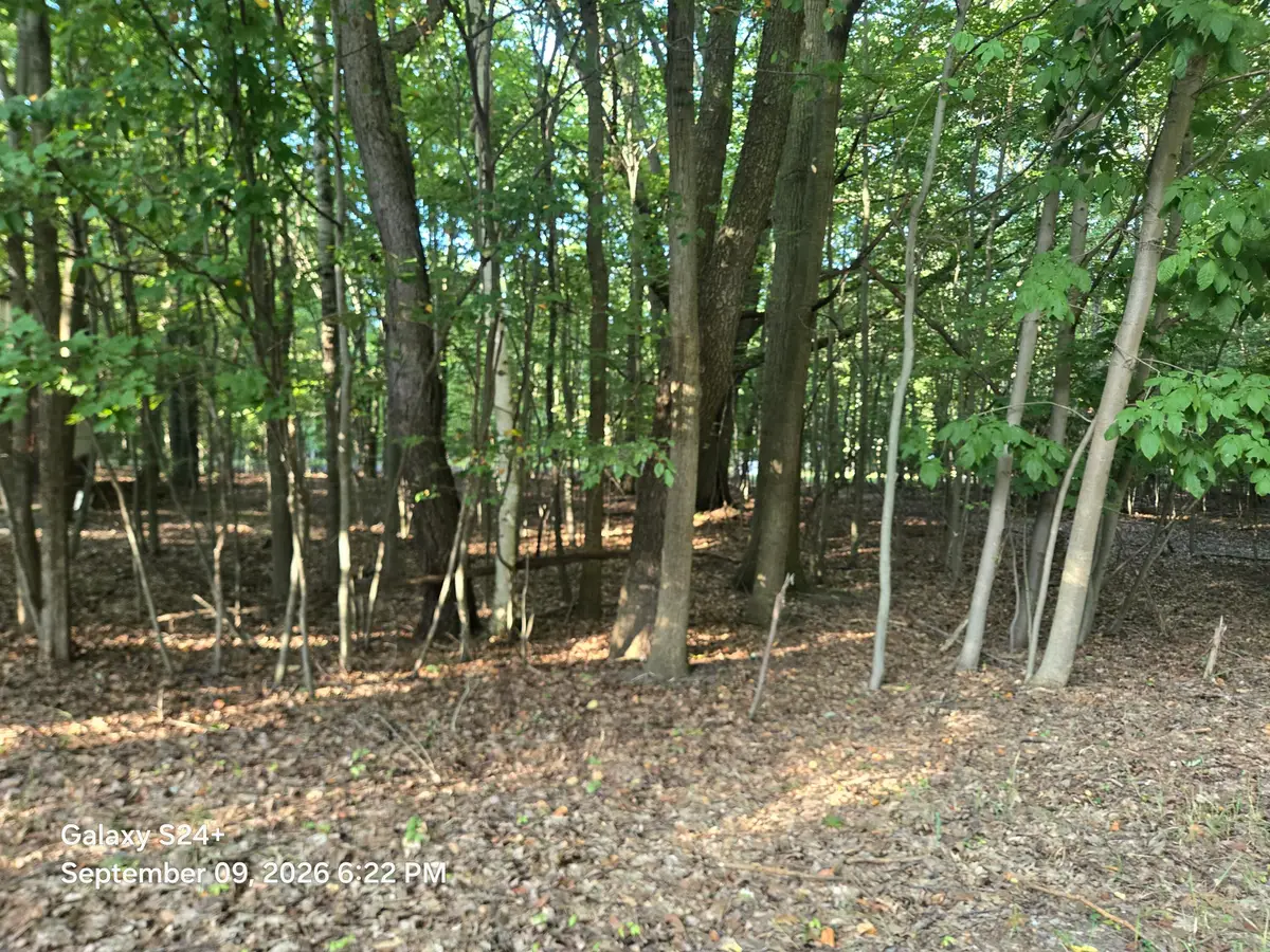 4 lots W Beech Street, Ludington, MI 49431 - #1