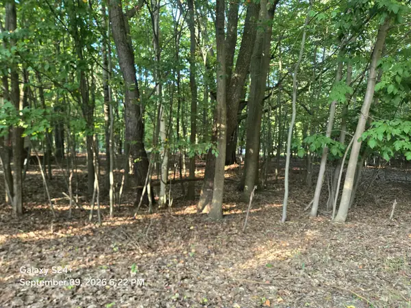 4 lots W Beech Street, Ludington, MI 49431