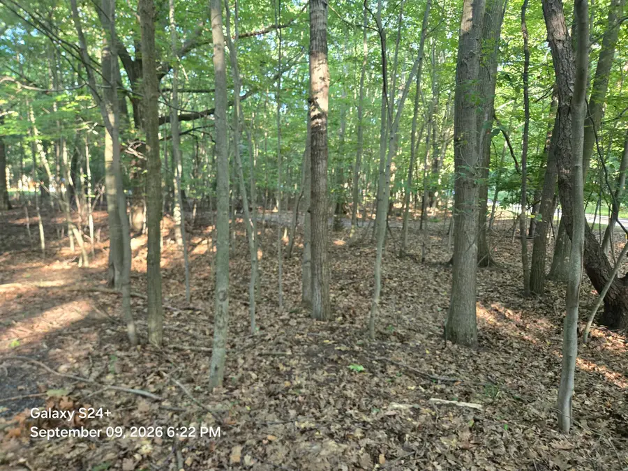 4 lots W Beech Street, Ludington, MI 49431 - #2
