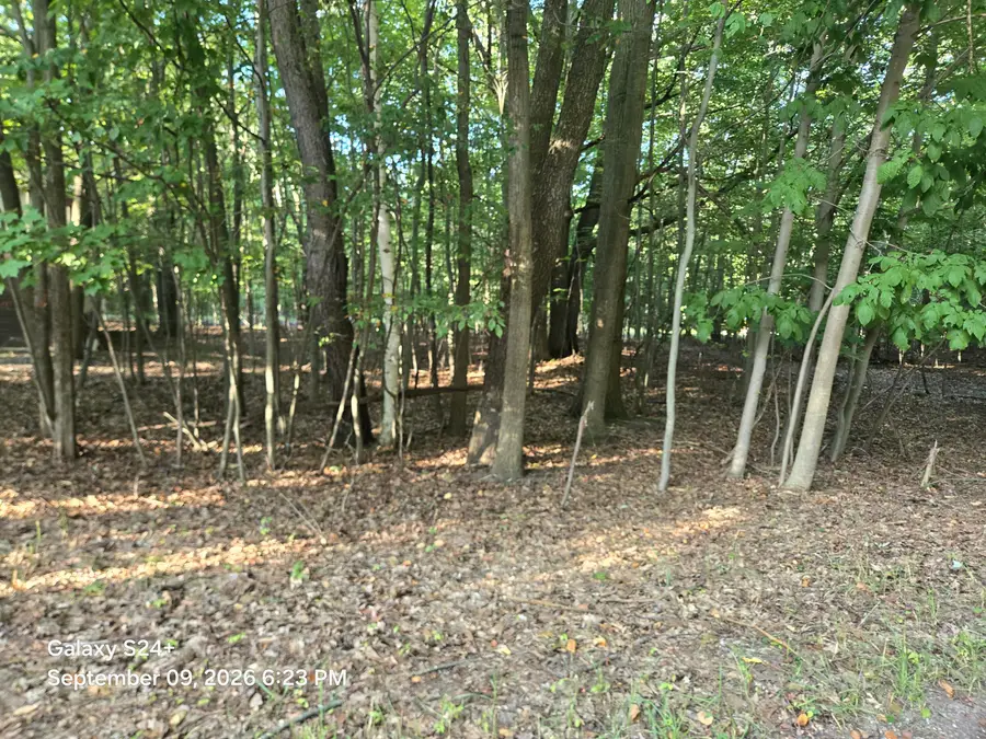 4 lots W Beech Street, Ludington, MI 49431 - #3