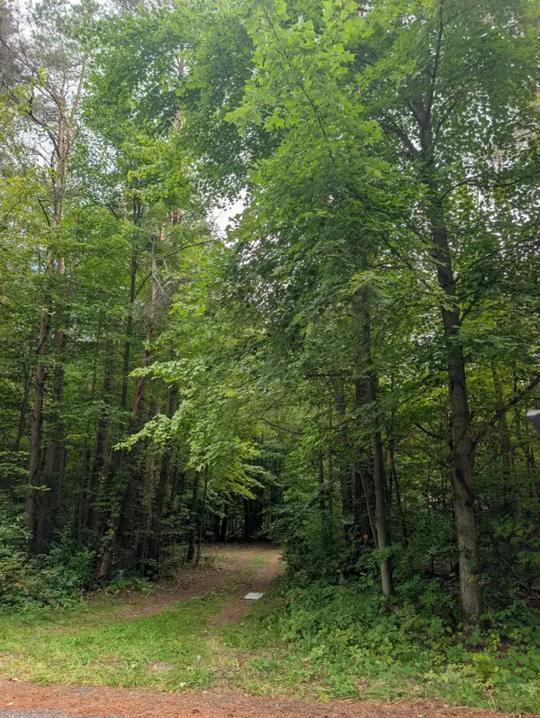 12389 Heintzelman Road Ne, Cedar Springs, MI 49319