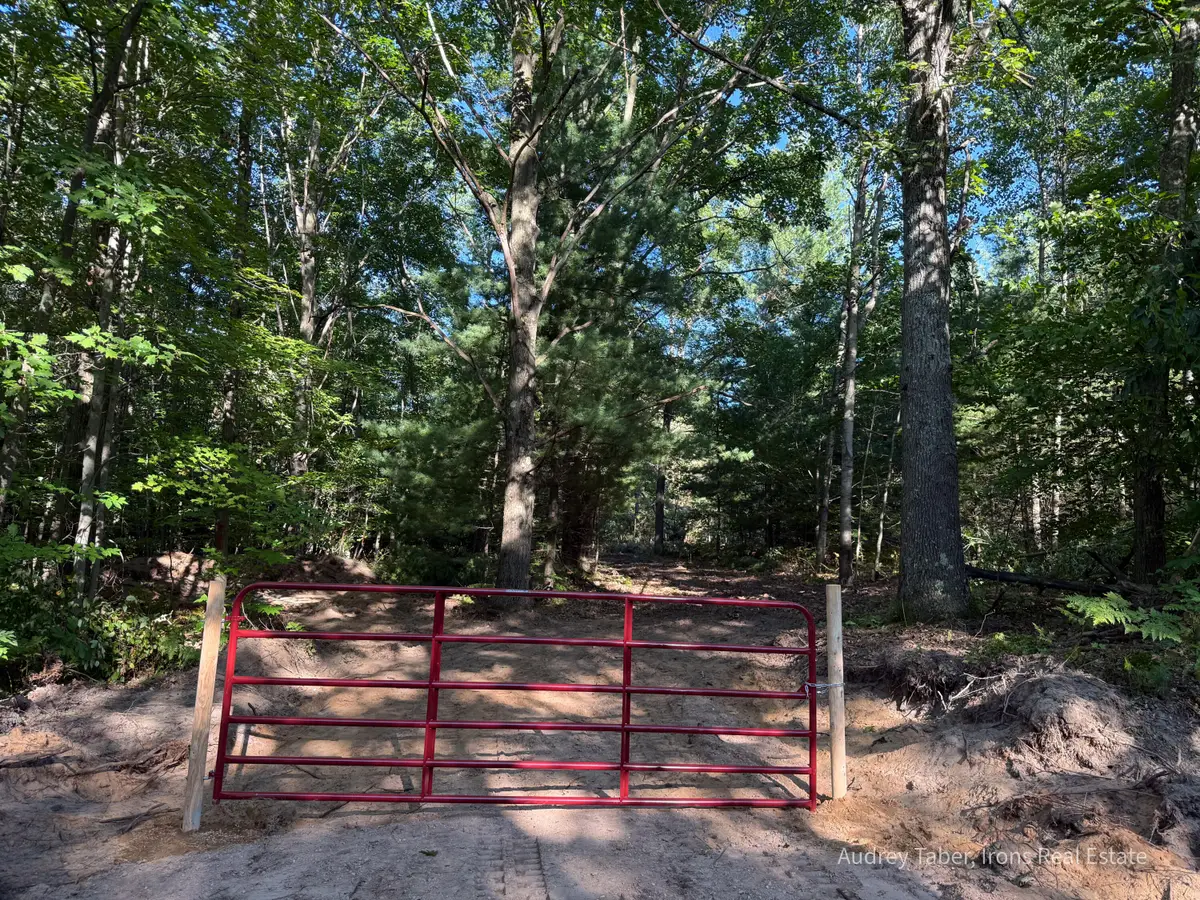 Par 1 & 5 Clements Road, Kaleva, MI 49645 - #1