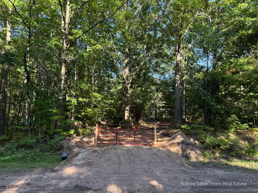 Par 1 & 5 Clements Road, Kaleva, MI 49645 - #2