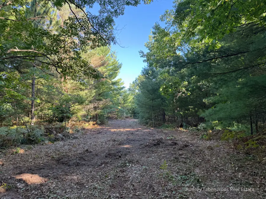 Par 1 & 5 Clements Road, Kaleva, MI 49645 - #3