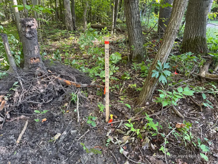 Par 2 Clements Road, Kaleva, MI 49645 - #3