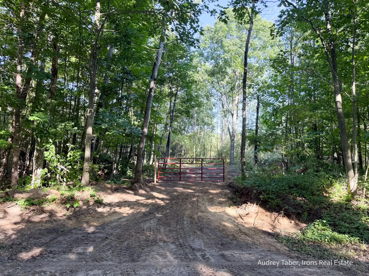 Par 3 Clements Road, Kaleva, MI 49645 - #1