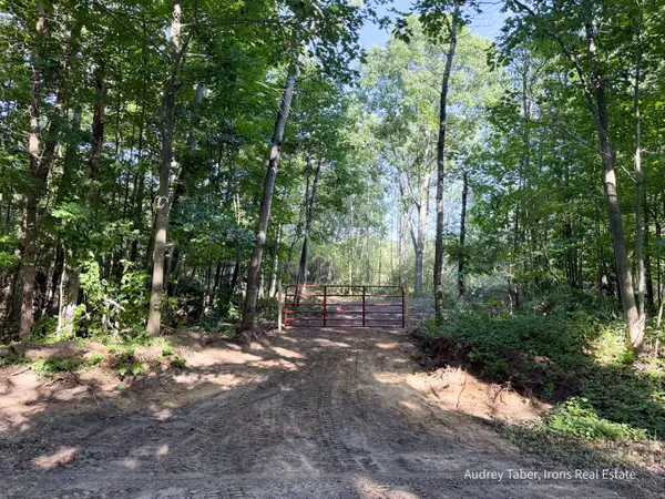 Par 3 Clements Road, Kaleva, MI 49645